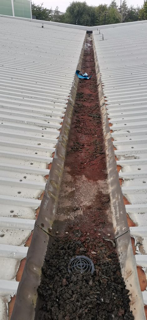 IProtect your home with expert gutter cleaning you can trust. Prevent water damage and keep your property safe with our reliable service
